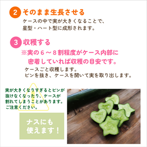 星のきゅうり・ハートのきゅうり｜きゅうりをかわいい形に育てる栽培ケース