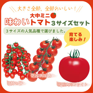 味わい大中小ミニトマト３サイズセット｜トマト苗セット｜