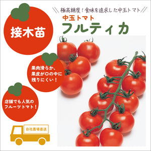 フルーツ中玉トマト３種セット｜中玉トマト苗セット