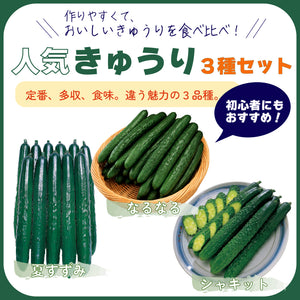 人気きゅうり３種セット｜きゅうり苗セット