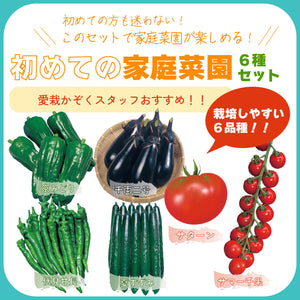 初めての家庭菜園６種セット｜夏野菜苗セット｜ミニトマト・大玉トマト・きゅうり・なす・ピーマン・とうがらし