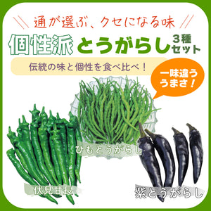 個性派とうがらし３種セット｜とうがらし苗セット
