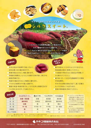 シルクスイート®／しっとり系｜さつまいも苗｜10本束｜登録品種名：HE-306　海外持出禁止