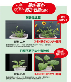 X ENERGY（エックスエナジー）ロング粒タイプ｜バイオスティミュラント資材｜土にまいて混ぜるだけ