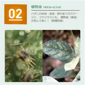 べニカナチュラルスプレー 1000ml｜自然派殺虫殺菌スプレー｜そのまま使える