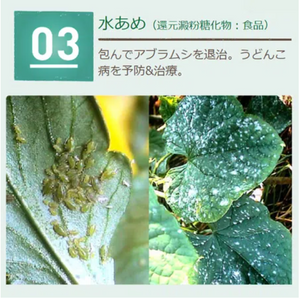 べニカナチュラルスプレー 1000ml｜自然派殺虫殺菌スプレー｜そのまま使える