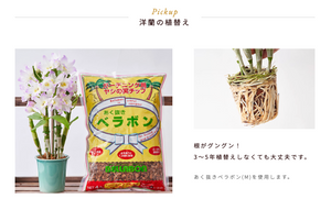 あく抜きベラボンMサイズ　4L・20L・60L｜ヤシ培養資材｜植え込み・土壌改良用※本商品は送料込み🚛