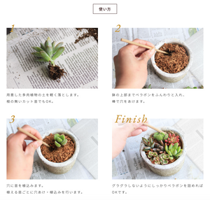 ベラボン・サキュレント｜ヤシ培養資材｜多肉植込み用　※本商品は送料込み🚛