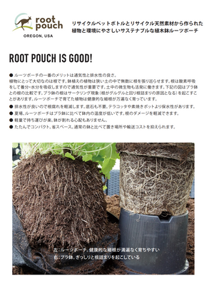 Root Pouch（ルーツポーチ）｜不織布製植木鉢