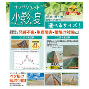 小影、夏｜サンサンネット・遮光ネット｜夏の高温・葉焼け対策に