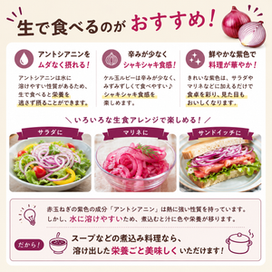 ケルたまルビー｜赤たまねぎ｜青果｜燦燦ファーム
