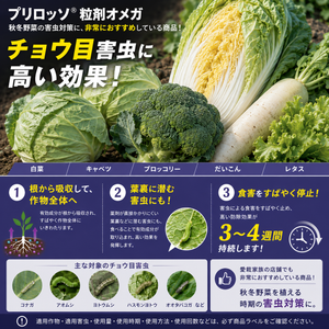 プリロッソ®粒剤オメガ 1kg｜殺虫剤｜株元にまくだけ