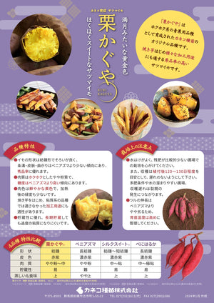栗かぐや®／ほくほく系｜さつまいも苗｜10本束｜登録品種( 登録名　HL1) 海外持出禁止