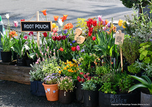 Root Pouch（ルーツポーチ）｜不織布製植木鉢