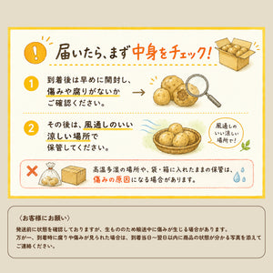 さんじゅう丸｜種じゃがいも｜秋植え